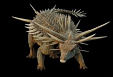 une-nouvelle-decouverte-au-maroc-bouleverse-les-connaissances-sur-levolution-des-dinosaures