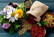 le-projet-ferma-pour-professionnaliser-la-filiere-des-plantes-aromatiques-et-medicinales-dans-le-moyen-atlas