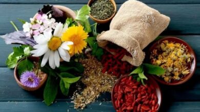 le-projet-ferma-pour-professionnaliser-la-filiere-des-plantes-aromatiques-et-medicinales-dans-le-moyen-atlas