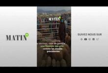 aid-al-adha-:-une-offre-ovine-abondante-et-des-prix-attendus-sous-controle