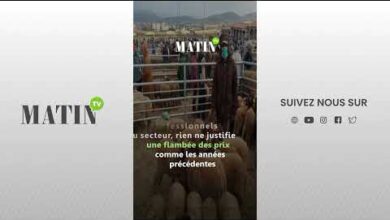 aid-al-adha-:-une-offre-ovine-abondante-et-des-prix-attendus-sous-controle