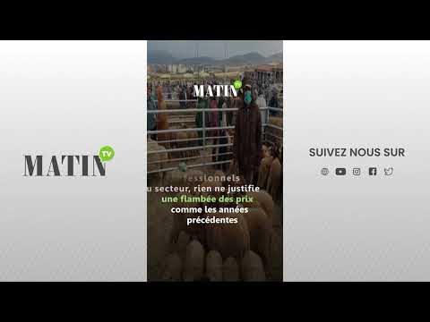aid-al-adha-:-une-offre-ovine-abondante-et-des-prix-attendus-sous-controle