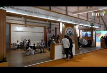 le-point-sur-la-filiere-des-viandes-rouges-avec-mustapha-el-khouli,-president-de-l