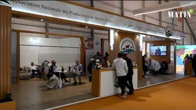 le-point-sur-la-filiere-des-viandes-rouges-avec-mustapha-el-khouli,-president-de-l