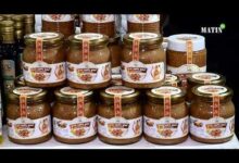 siam-2026-:-immersion-au-coeur-des-cooperatives-et-du-terroir-marocain