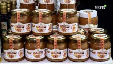 siam-2026-:-immersion-au-coeur-des-cooperatives-et-du-terroir-marocain