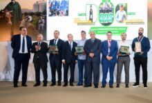 voici-les-12-meilleures-huiles-d