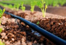 generation-green-:-letat-prepare-une-plateforme-de-pilotage-pour-accelerer-la-transformation-agricole