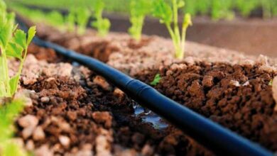 generation-green-:-letat-prepare-une-plateforme-de-pilotage-pour-accelerer-la-transformation-agricole
