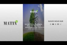 sante-:-pourquoi-certains-troubles-digestifs-se-multiplient-au-printemps