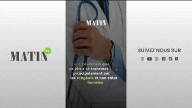 hantavirus:-Τι-πρέπει-να-γνωρίζετε-για-αυτόν-τον-ιό-που-μεταδίδεται-από-τρωκτικά