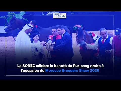 Η-sorec-γιορτάζει-την-ομορφιά-του-αραβικού-καθαρόαιμου-στο
