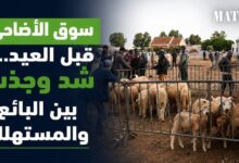 eid-al-adha:-εντάσεις-στις-τιμές-στις-αγορές-προβάτων