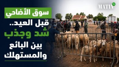 eid-al-adha:-εντάσεις-στις-τιμές-στις-αγορές-προβάτων