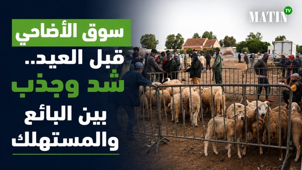 eid-al-adha:-εντάσεις-στις-τιμές-στις-αγορές-προβάτων