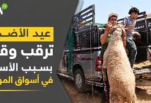 aid-al-adha-:-attente-et-inquietudes-face-a-la-hausse-des-prix-sur-les-marches-des-moutons