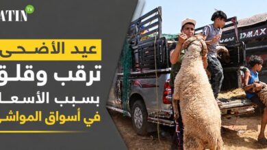aid-al-adha-:-attente-et-inquietudes-face-a-la-hausse-des-prix-sur-les-marches-des-moutons