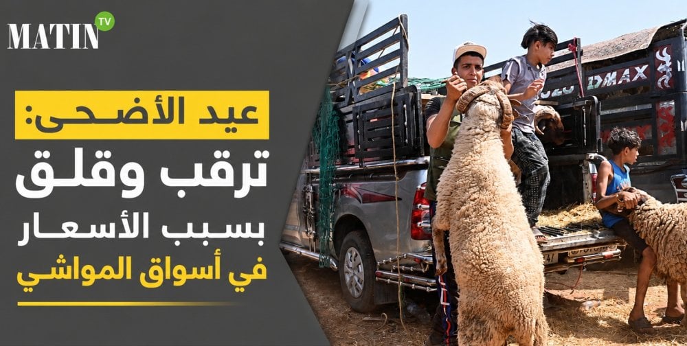 aid-al-adha-:-attente-et-inquietudes-face-a-la-hausse-des-prix-sur-les-marches-des-moutons