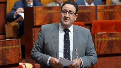 la-lgv-kenitra-marrakech-livree-en-septembre-2029-(kayouh)