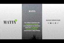 vague-de-chaleur-:-une-invasion-dinsectes-volants-observee-dans-plusieurs-villes-du-maroc