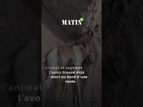 aid-al-adha-:-la-video-d