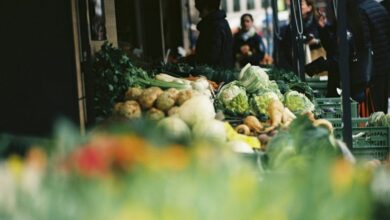 les-aliments-insalubres-a-lorigine-de-866-millions-de-maladies-et-de-1,5-million-de-deces-par-an-(oms)