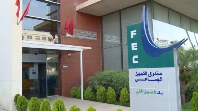le-fec-vise-une-accreditation-strategique-aupres-du-fonds-vert-pour-le-climat