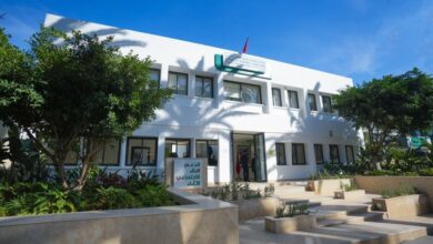 Η-Εθνική-Υπηρεσία-Κοινωνικής-Στήριξης-δημοσιεύει-την-πρώτη-της-έκθεση-δραστηριοτήτων