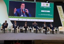 transport-aerien-:-le-maroc-veut-accelerer-lintegration-aerienne-du-continent-africain