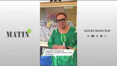 lexposition-dantiquites-de-casablanca-:-quand-la-memoire-nationale-sanime-a-la-coupole