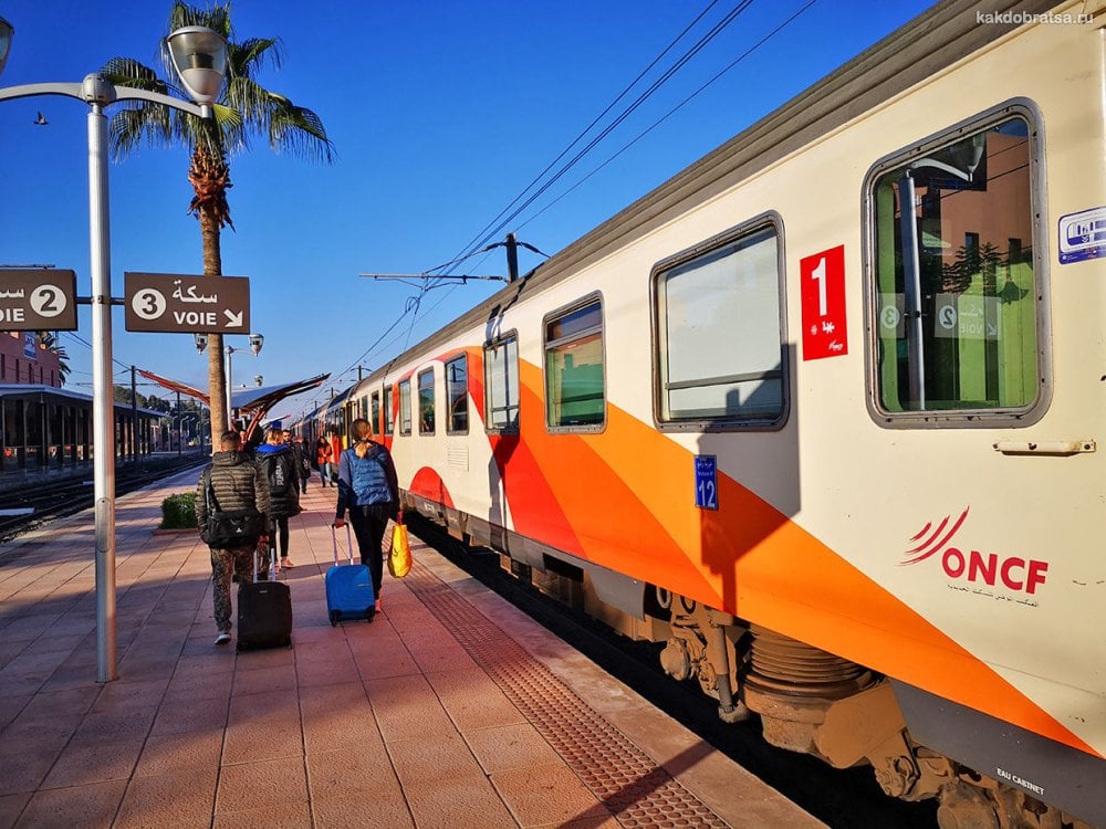 loncf-deploie-son-plan-special-ete-2026