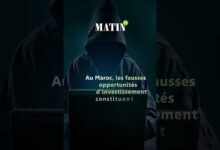 cyberattaques-:-les-arnaques-par-messagerie-coutent-en-moyenne-500-dollars-aux-marocains