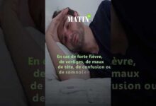 vague-de-chaleur-:-les-bons-reflexes-pour-se-proteger