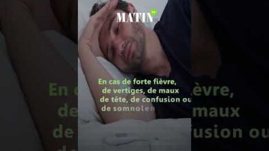 vague-de-chaleur-:-les-bons-reflexes-pour-se-proteger