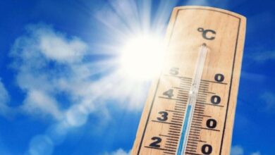 vague-de-chaleur-et-fortes-rafales-de-vent-de-samedi-a-mercredi-(alerte-meteo)