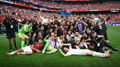 les-lions-de-l