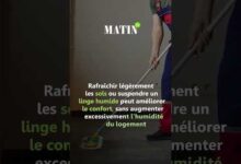 vague-de-chaleur-:-les-astuces-pour-garder-son-logement-frais-sans-climatisation