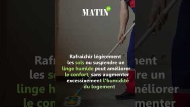 vague-de-chaleur-:-les-astuces-pour-garder-son-logement-frais-sans-climatisation