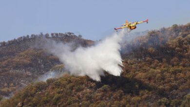 Δασικές-πυρκαγιές:-12-επαρχίες-σε-κόκκινο-συναγερμό-από-τις-6-έως-τις-12-Ιουλίου-(anef)