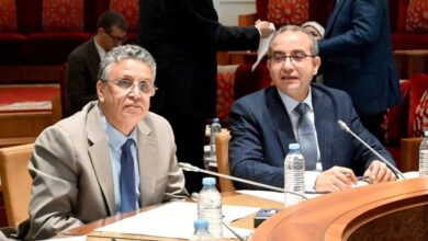 Έγκριση-από-την-Επιτροπή-του-νομοσχεδίου-σχετικά-με-το-επάγγελμα-του-«dadoul»