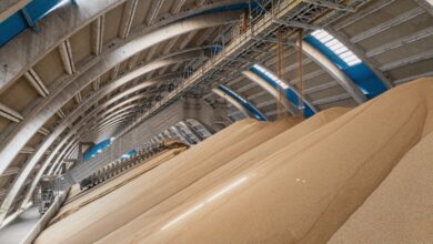 ocp-et-koch-ag-creent-une-joint-venture-pour-doubler-leur-capacite-de-production-d