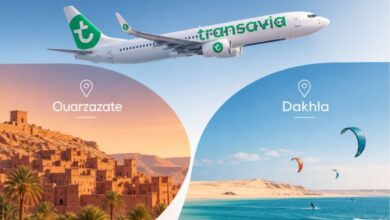 transavia-augmente-ses-vols-entre-paris,-ouarzazate-et-dakhla-(onmt)