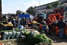 les-prix-des-fruits-et-legumes-reculent-au-marche-de-gros-de-casablanca-grace-a-une-offre-abondante