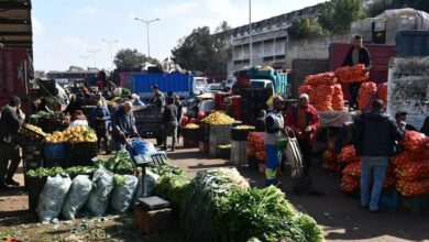 les-prix-des-fruits-et-legumes-reculent-au-marche-de-gros-de-casablanca-grace-a-une-offre-abondante