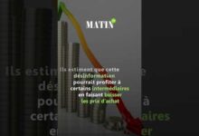 pasteque-marocaine-:-les-ventes-penalisees-par-les-rumeurs