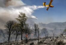 feux-de-foret-:-les-superficies-brulees-reculent-de-31%-en-2026