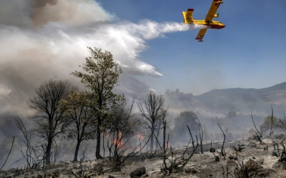 feux-de-foret-:-les-superficies-brulees-reculent-de-31%-en-2026