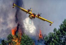 feux-de-foret-:-comment-les-far-orchestrent-la-riposte-aerienne