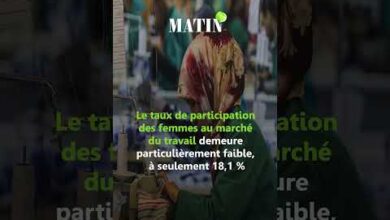 emploi-:-les-inegalites-persistent-malgre-le-recul-du-chomage