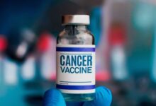 apres-le-melanome,-la-russie-etend-son-programme-de-vaccins-therapeutiques-a-trois-nouveaux-cancers